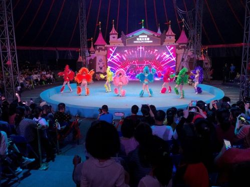 五一假期中國(guó)文旅集團(tuán)開(kāi)曼景區(qū)迎客逾20萬(wàn)人次，景區(qū)經(jīng)營(yíng)管理成效顯著